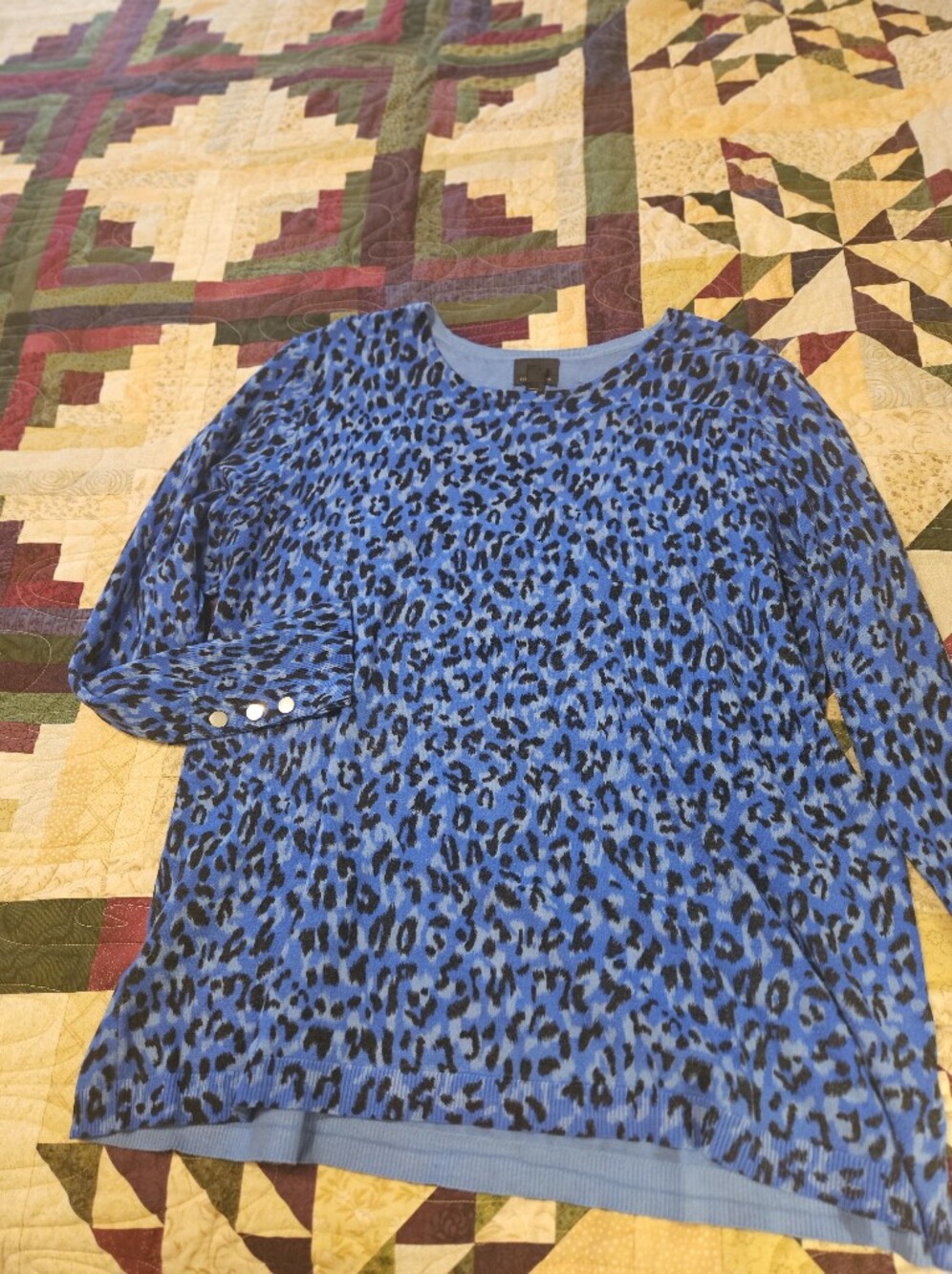 Women's Blue Leopard Print Long Sleeve Top - Brand JM. Long